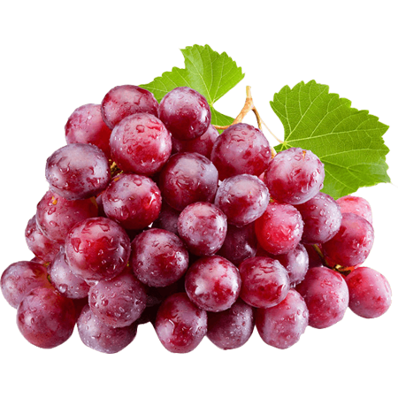 شوشان