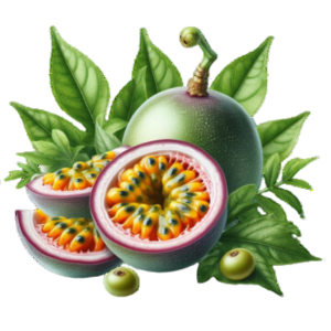 شوشان