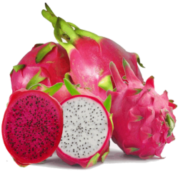 شوشان